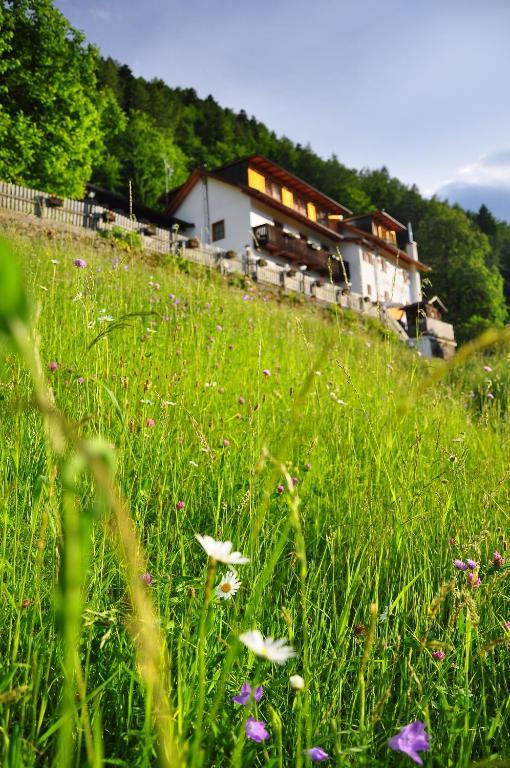 Hotel Bad St Isidor Bolzano Zewnętrze zdjęcie